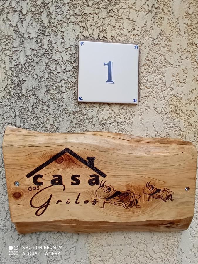 Casa Dos Grilos Penacova Εξωτερικό φωτογραφία
