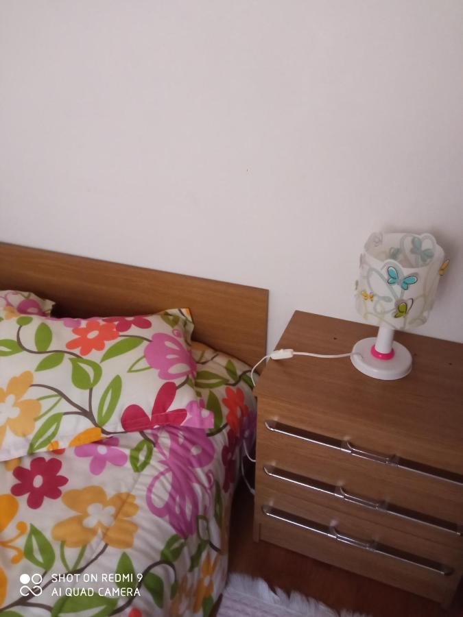 Casa Dos Grilos Penacova Εξωτερικό φωτογραφία