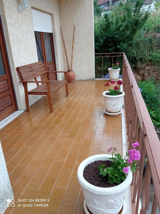 Casa Dos Grilos Penacova Εξωτερικό φωτογραφία