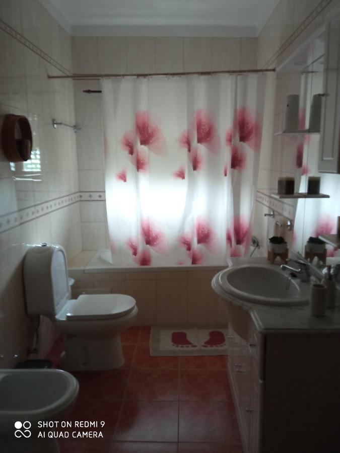 Casa Dos Grilos Penacova Εξωτερικό φωτογραφία
