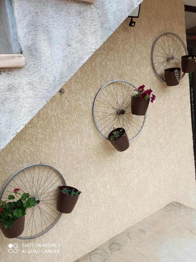 Casa Dos Grilos Penacova Εξωτερικό φωτογραφία