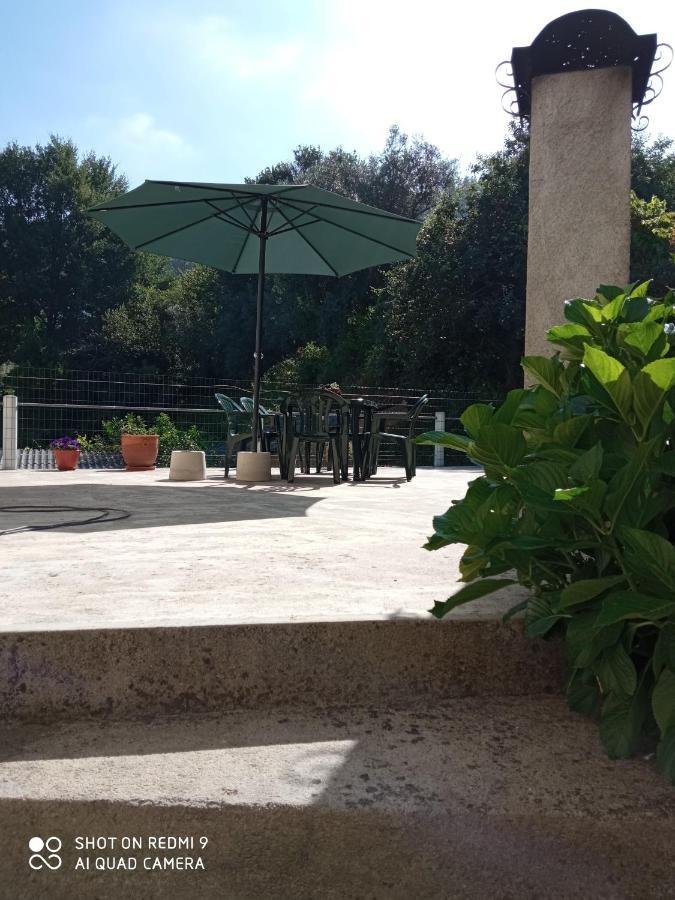 Casa Dos Grilos Penacova Εξωτερικό φωτογραφία