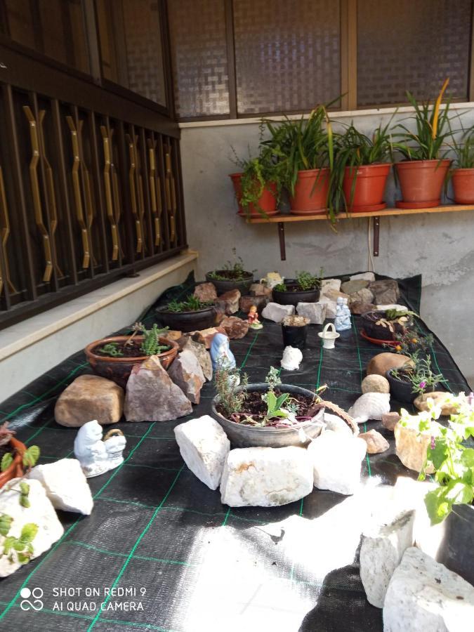 Casa Dos Grilos Penacova Εξωτερικό φωτογραφία