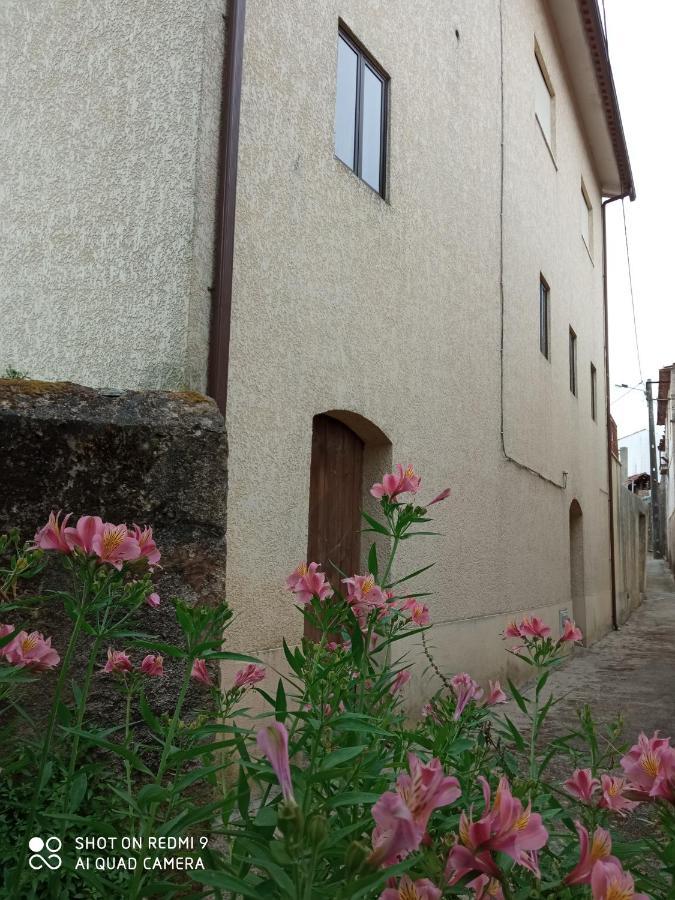 Casa Dos Grilos Penacova Εξωτερικό φωτογραφία
