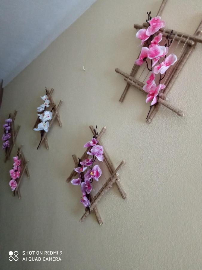 Casa Dos Grilos Penacova Εξωτερικό φωτογραφία