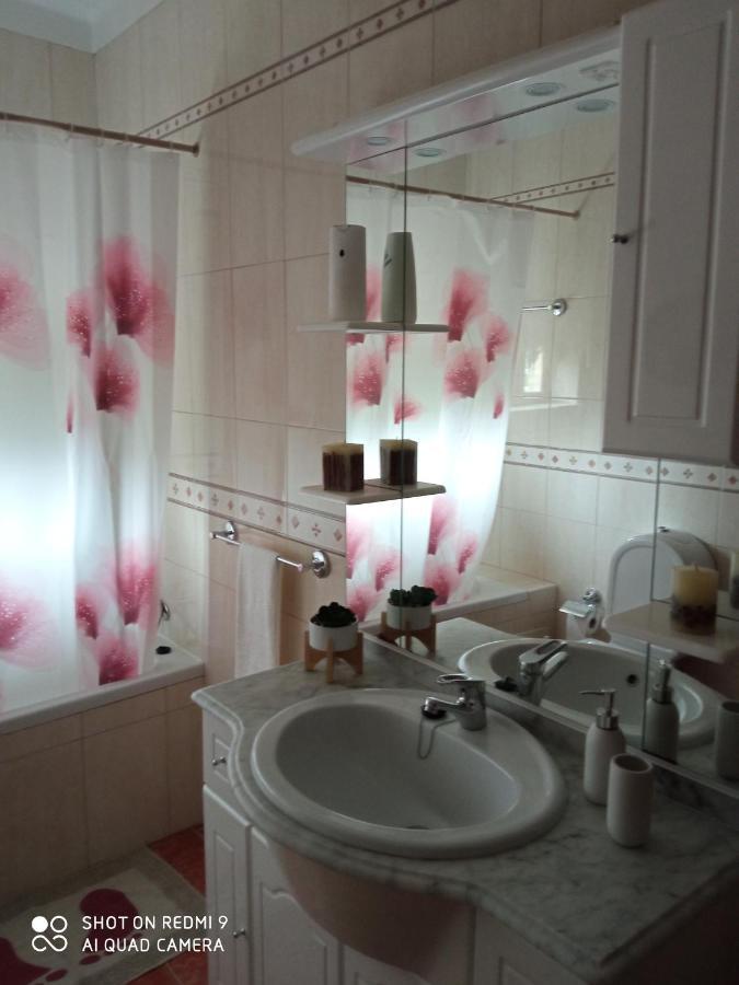Casa Dos Grilos Penacova Εξωτερικό φωτογραφία